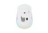 RATON OPTICO WIRELESS NGS SMOG MINT-RB BLANCO