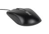 iggual Ratón óptico COM-BASIC2-800DPI negro