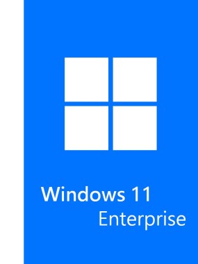 Licencia digital de Microsoft Windows 11 Enterprise