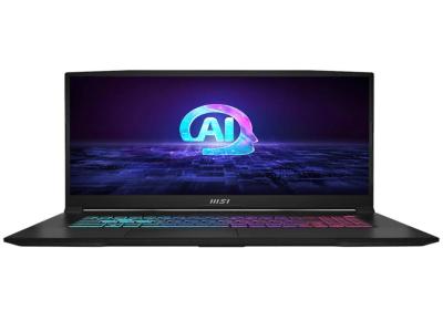 MSI Katana A17-875XES AMD R7-884HS 32 1TB 4060 DOS