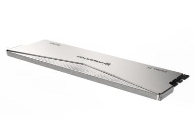 ACER PREDATOR PALLAS II 32G CL34 SILVER16x2 6000
