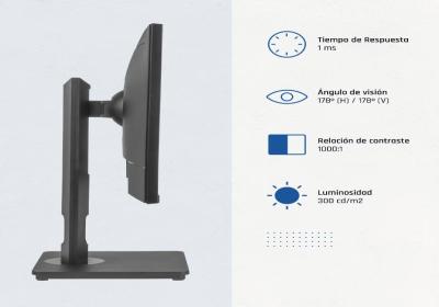 iggual Monitor 24" VGA HDMI 120Hz pivotante AA MM