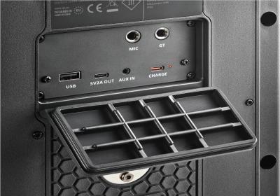 NGS Altavoz Wildbash 300W Bateria recargable IPX6