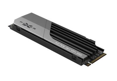 SP XS70 SSD 2TB NVMe PCIe Gen 4x4 7300MBs w/HS
