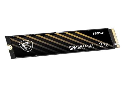 MSI SSD Spatium M461 2Tb PCIe 4.0 NVMe 5000 Mb-s