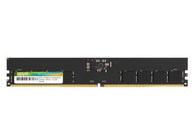 SP MEMORIA DDR5-4800,CL40,UDIMM,16GB SR