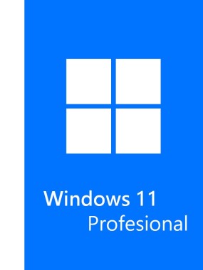 Pack de 3 Licencias Microsoft Windows 11 Profesional OEM