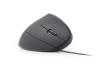GEMBIRD Ratón óptico USB erg 6 botones cable Negro