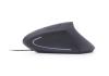 GEMBIRD Ratón óptico USB erg 6 botones cable Negro
