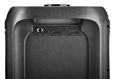 NGS Altavoz PORT WILDBANGER2  BT 160W 4H